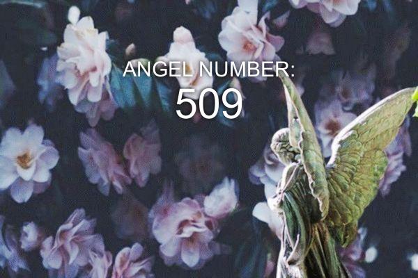 Angelo numeris 509 – prasmė ir simbolika