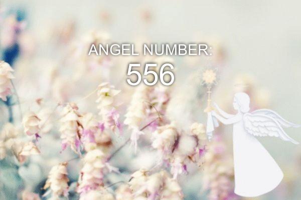 Ängel nummer 556 – Mening och symbolik