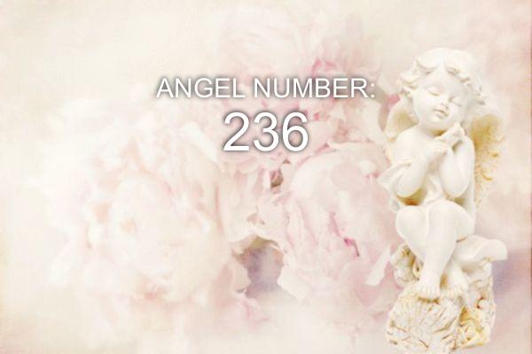 Angelo numeris 236 – prasmė ir simbolika