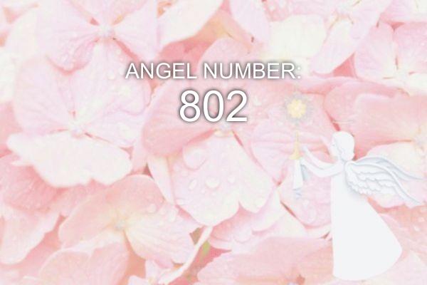 Eņģeļa numurs 802 - nozīme un simbolika