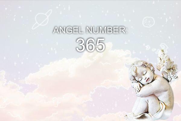 Anjo Número 365 – Significado e Simbolismo