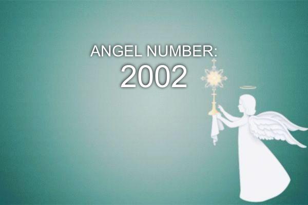 Anjo Número 2002 – Significado e Simbolismo