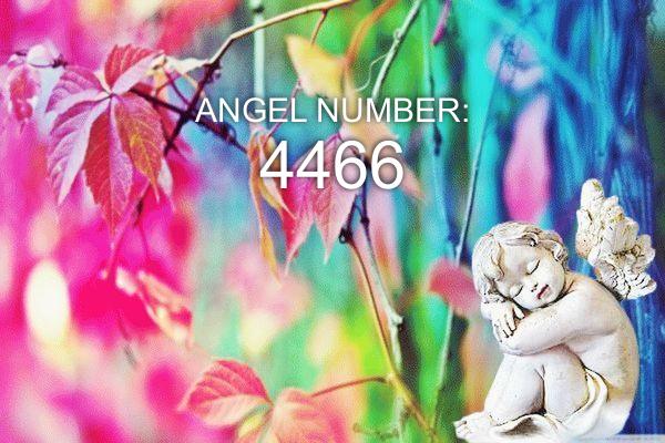 4466 Ängelnummer – betydelse och symbolik